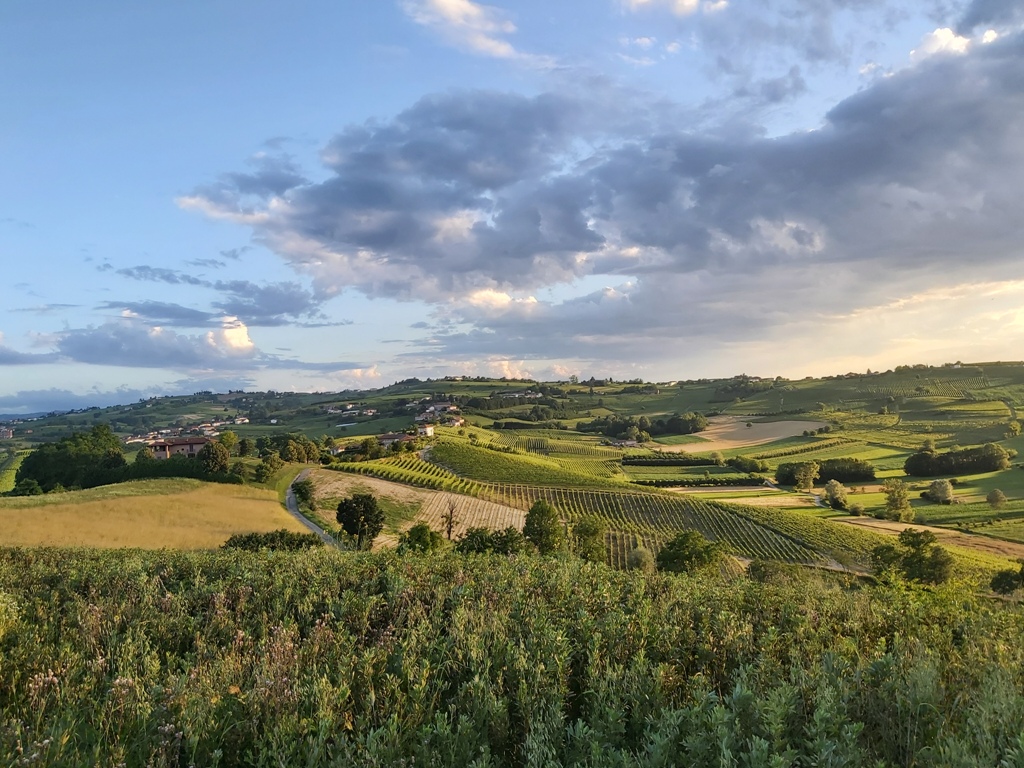 Le colline di Montegrosso d’Asti